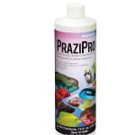 Hikari Prazipro Review