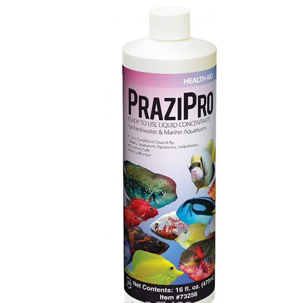 Hikari Prazipro Review