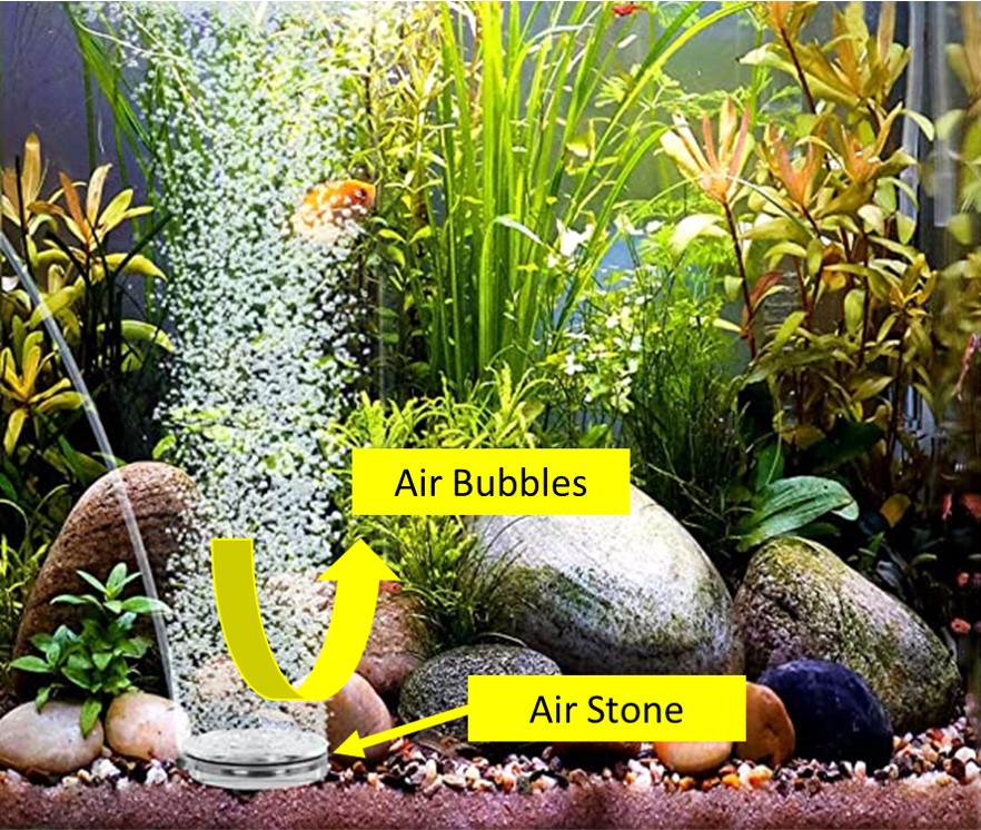 aquarium air stone