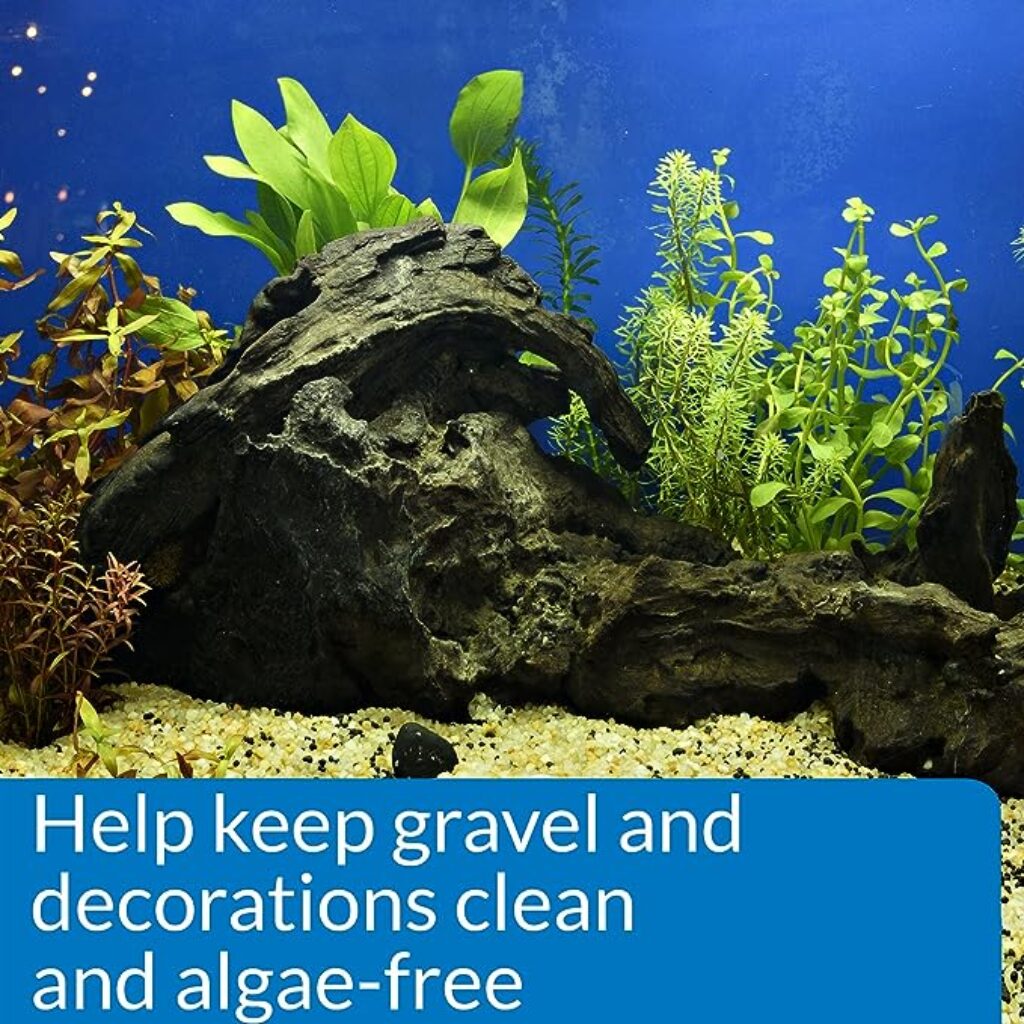 keeps gravel and decoration algae free
